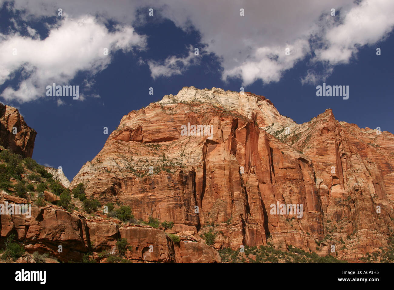 Paysages sauvages de Zion National Park, Utah, USA Banque D'Images