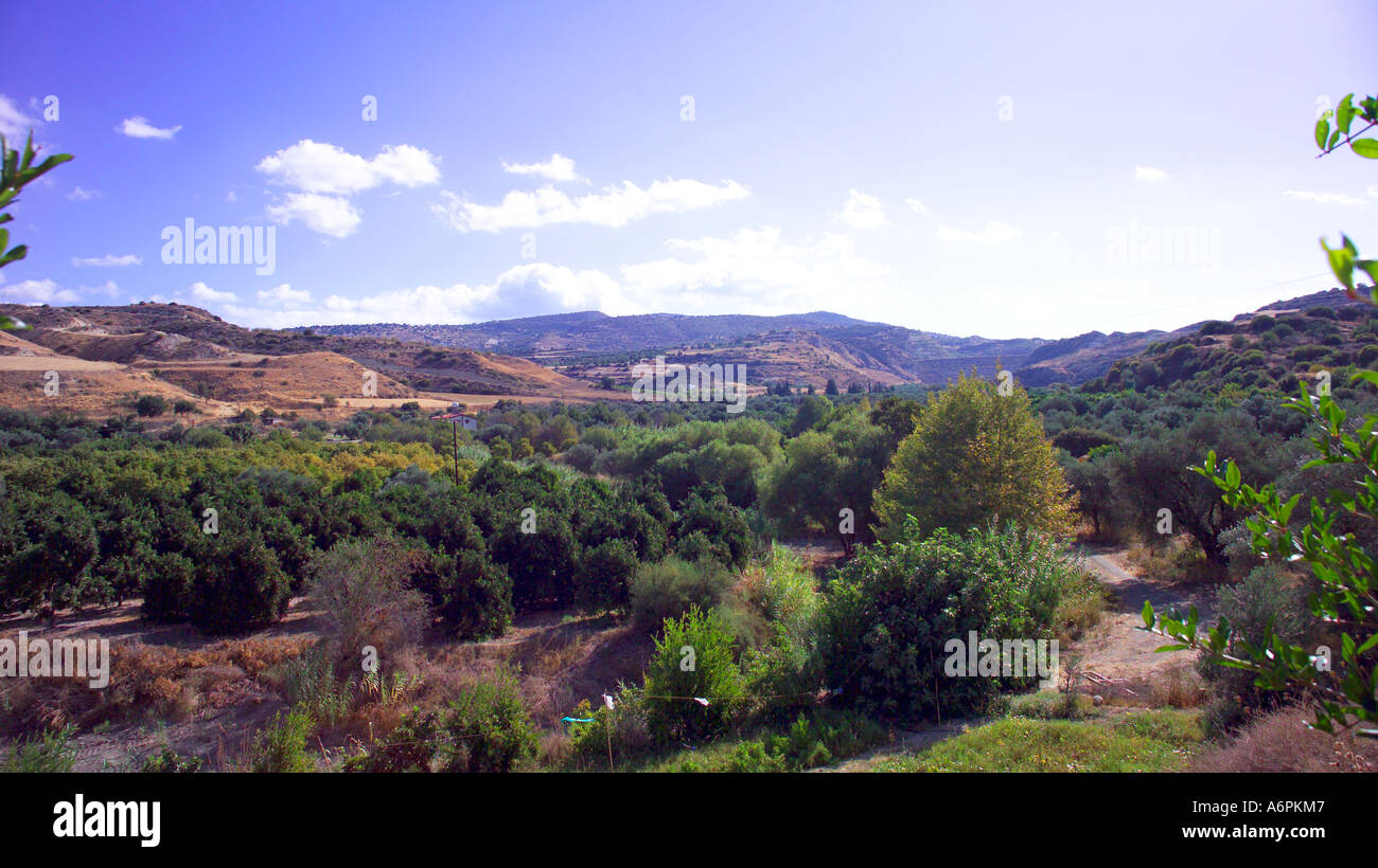 Paysage de la campagne environnante À CHYPRE Banque D'Images