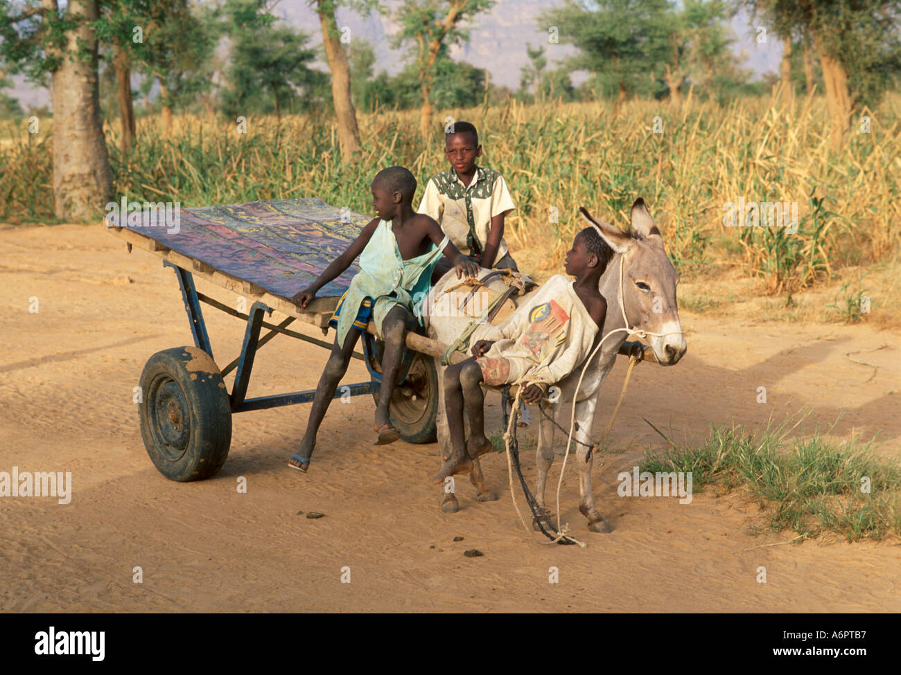 Les garçons rentrent du marché local en chariot à âne. Gorom Gorom, Burkina Faso Banque D'Images