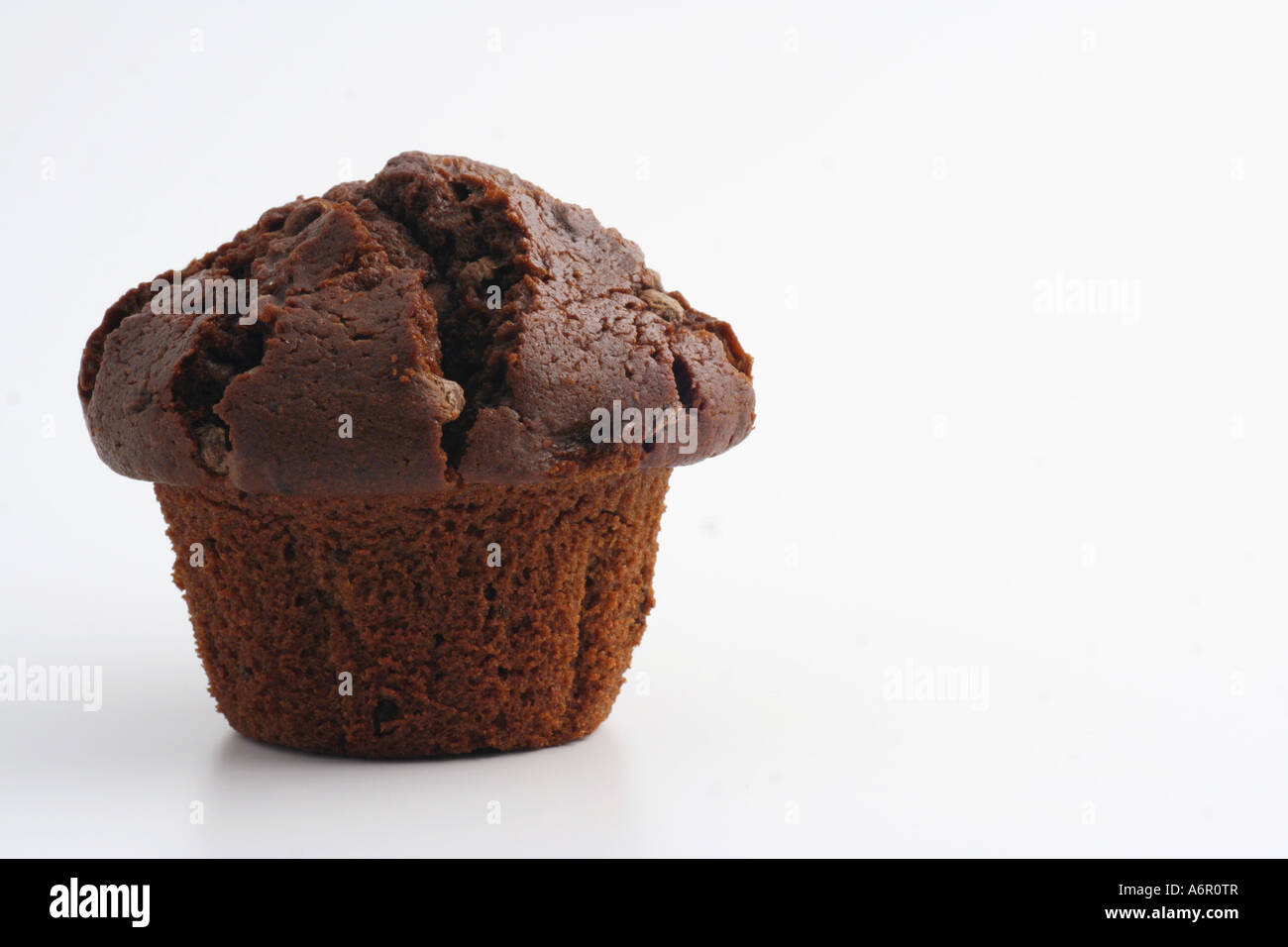 Muffin au chocolat double Banque D'Images