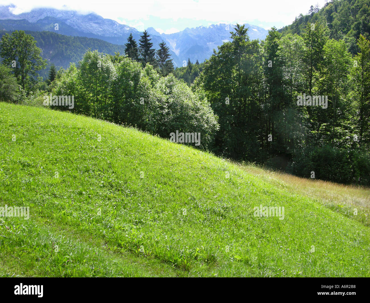 Dans les Alpes bavaroises KARWENDEL Gebirge Bayerische Alpen Banque D'Images