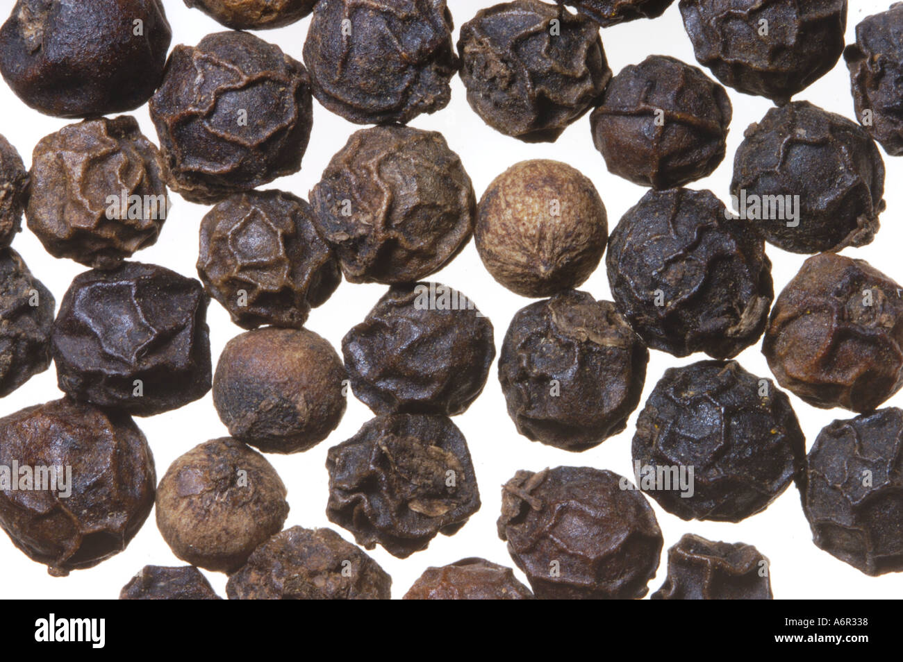 Dark Black Pepper poivre en grains secs secs Banque D'Images