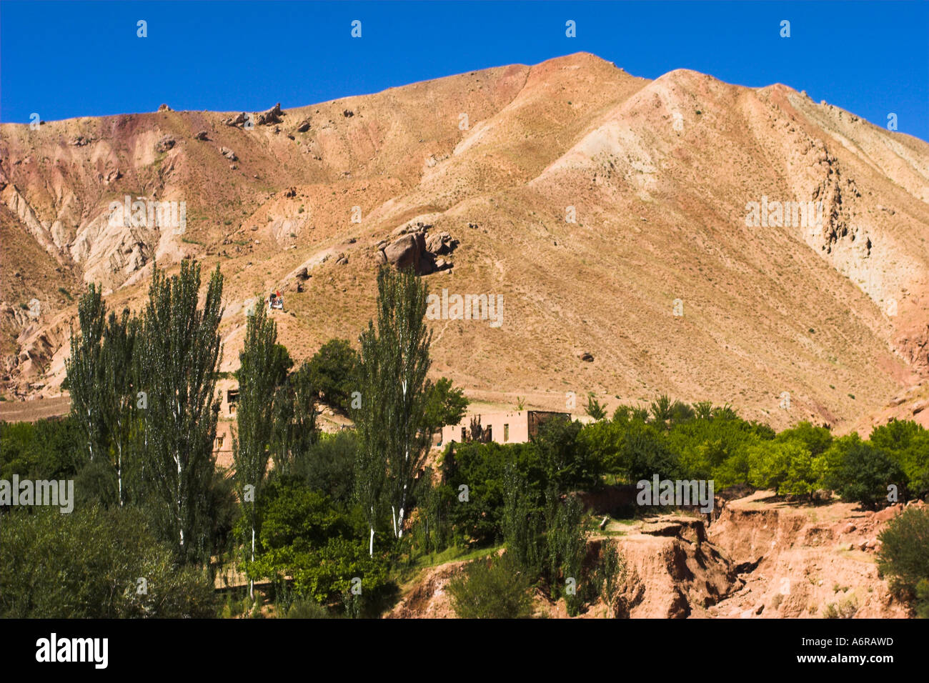 Paysages de l'Afghanistan près du village de confiture sur la route vers le célèbre minaret de Djam Banque D'Images