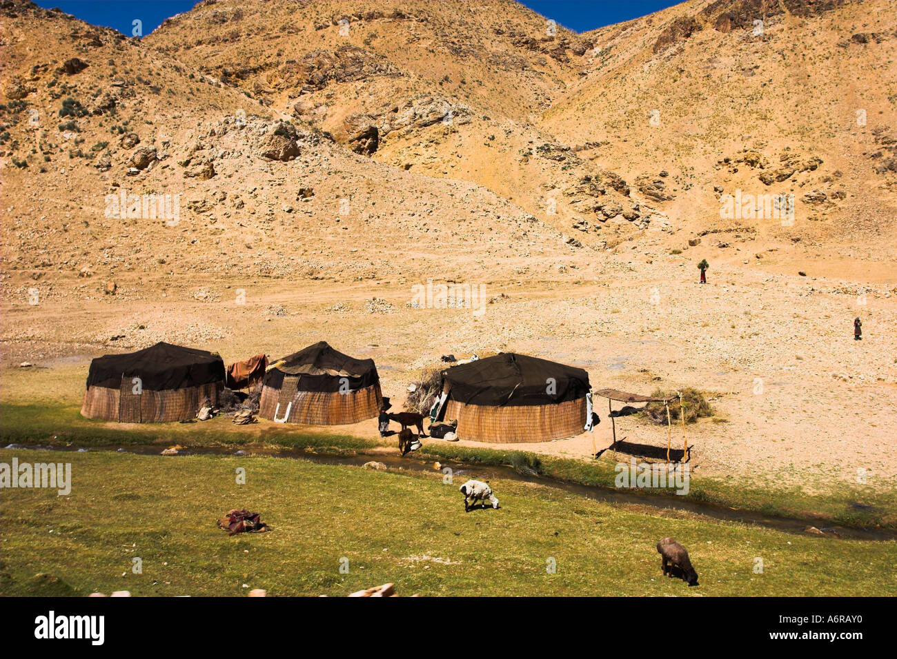 L'AFGHANISTAN, près de village de Jam Aimaq camps nomades Banque D'Images
