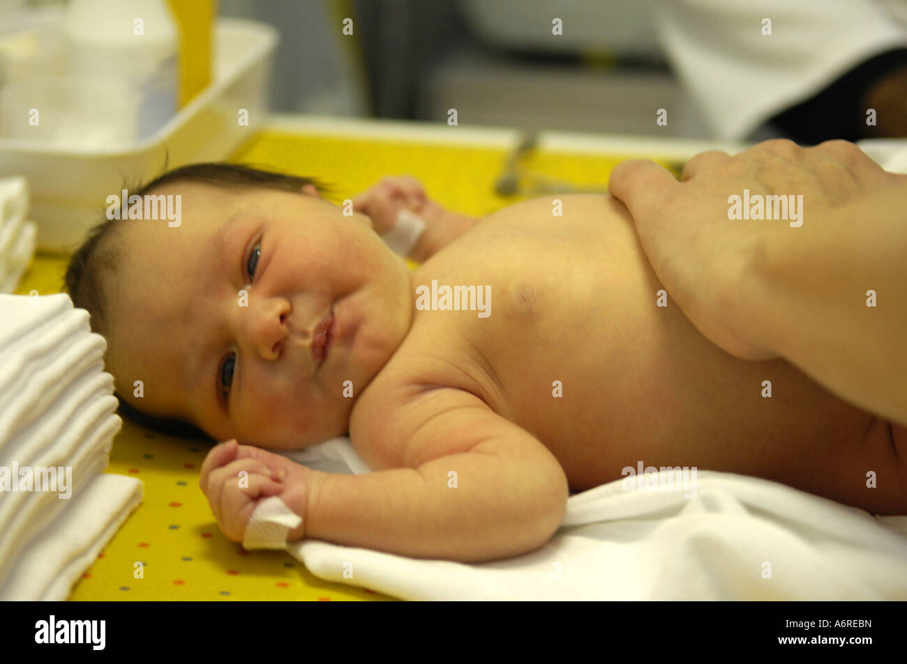 Reflex Test Banque D Image Et Photos Page 3 Alamy Reflex Test Banque D Image Et Photos Page 3 Alamy