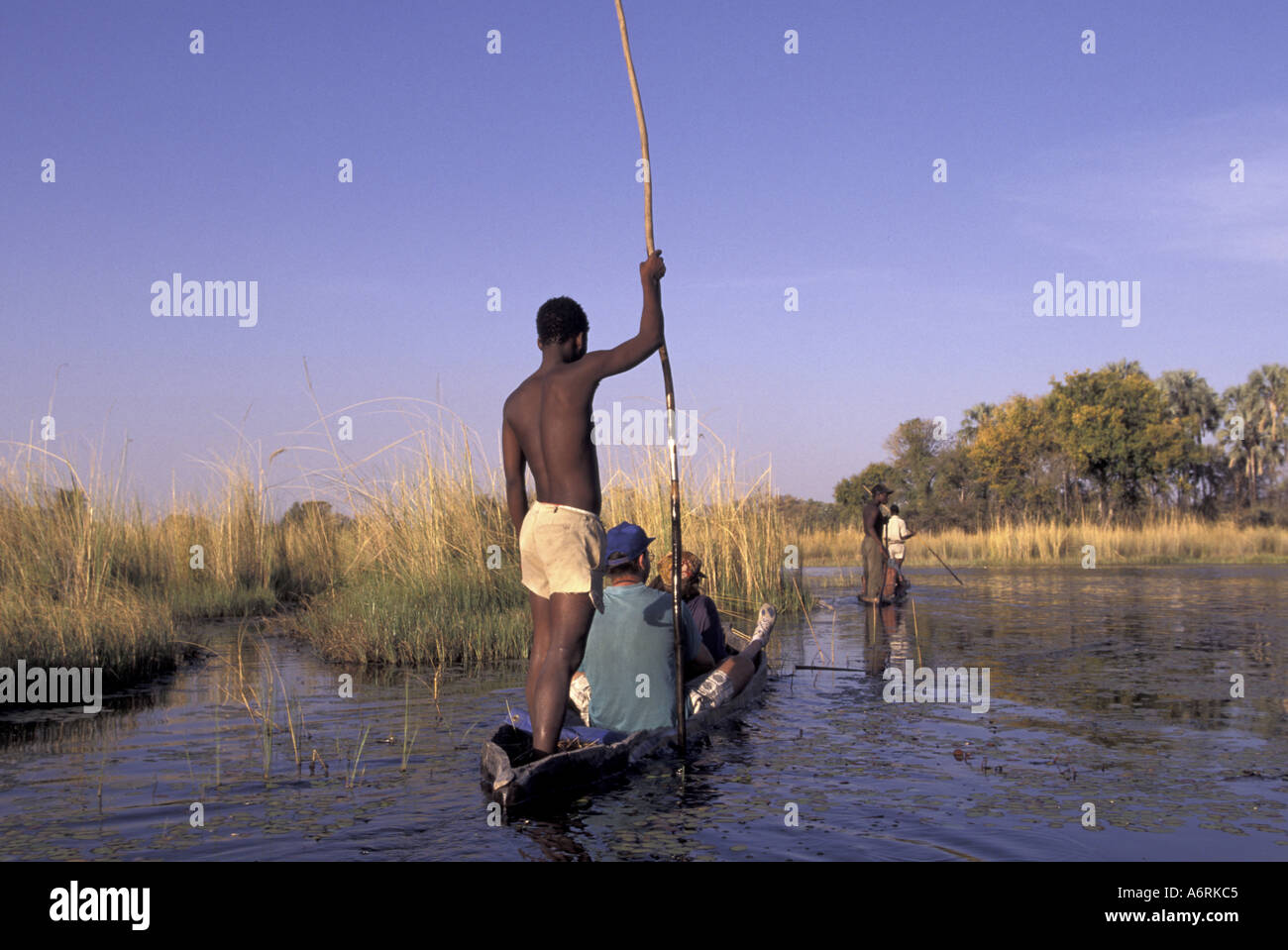 l'afrique, botswana, okavango delta, les touristes en