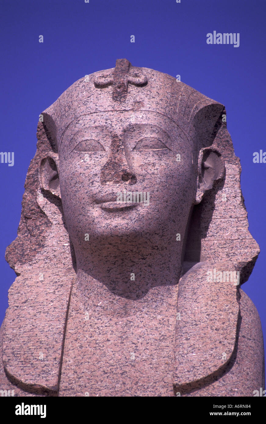 L'Afrique, l'Égypte, Alexandrie. Sphinx de Serapeum Banque D'Images