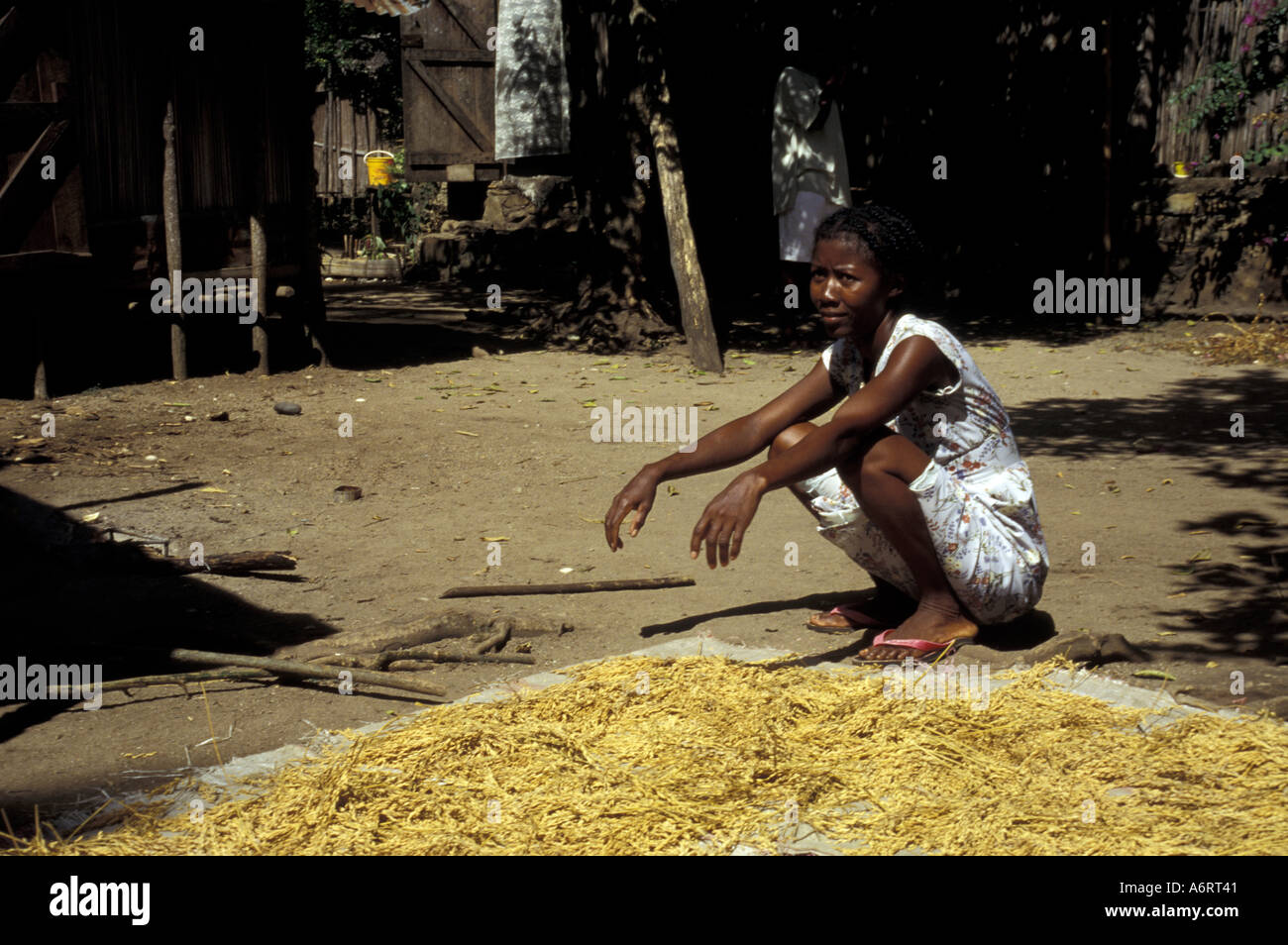 L'Afrique, Madagascar, Diego Suarez. Femme vendant les céréales au marché local. Banque D'Images