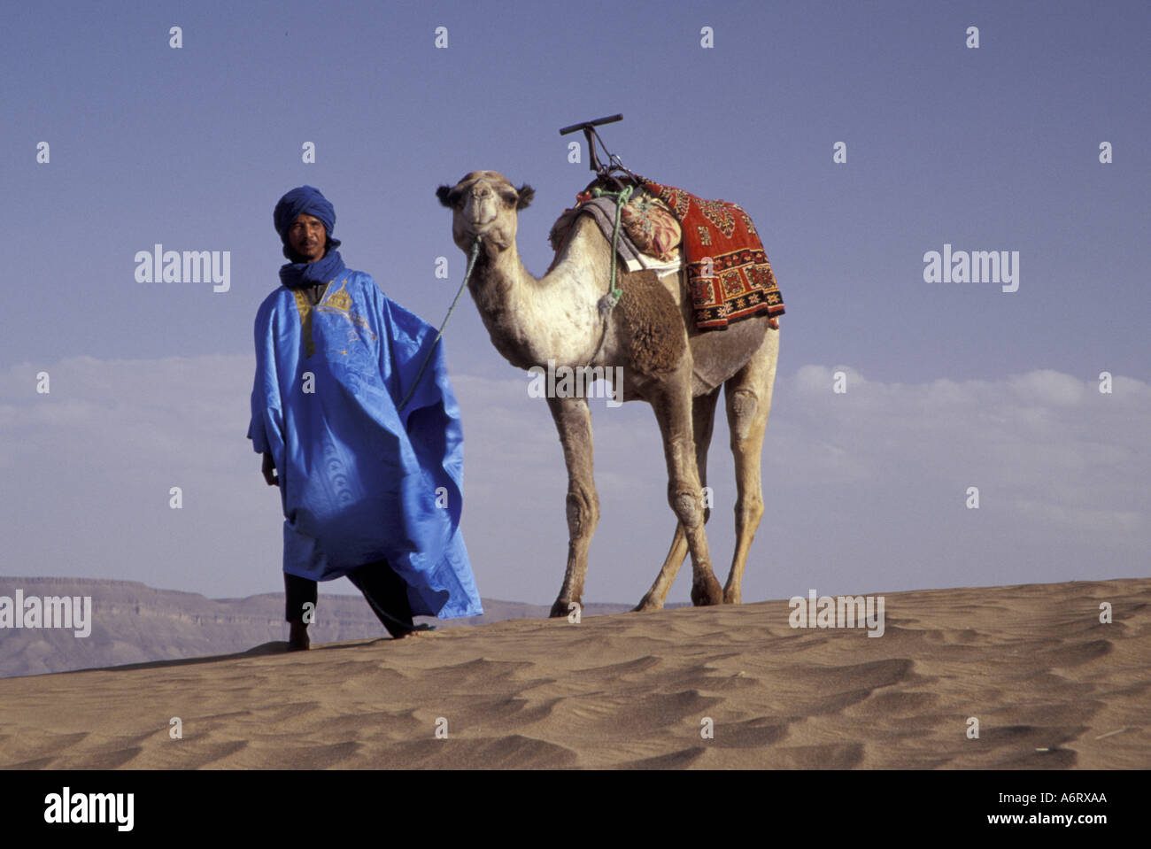 L'Afrique, Maroc, Tinfou (près de Zagora, l'homme en costume traditionnel des camel sur dunes de sable (MR) Banque D'Images