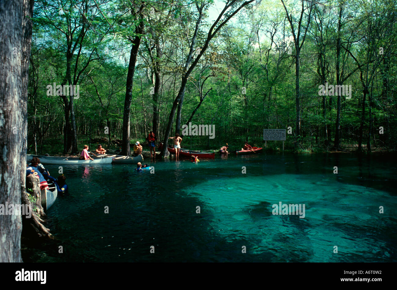 Blue Spring State Park en Floride Banque D'Images