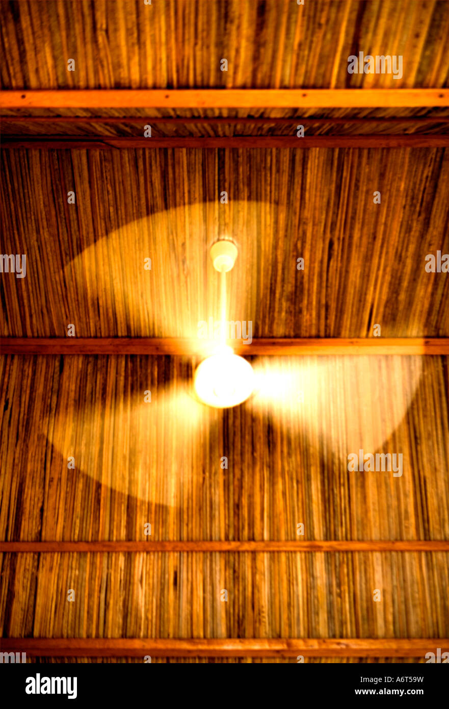 Ventilateur de plafond - Rodrigues Banque D'Images