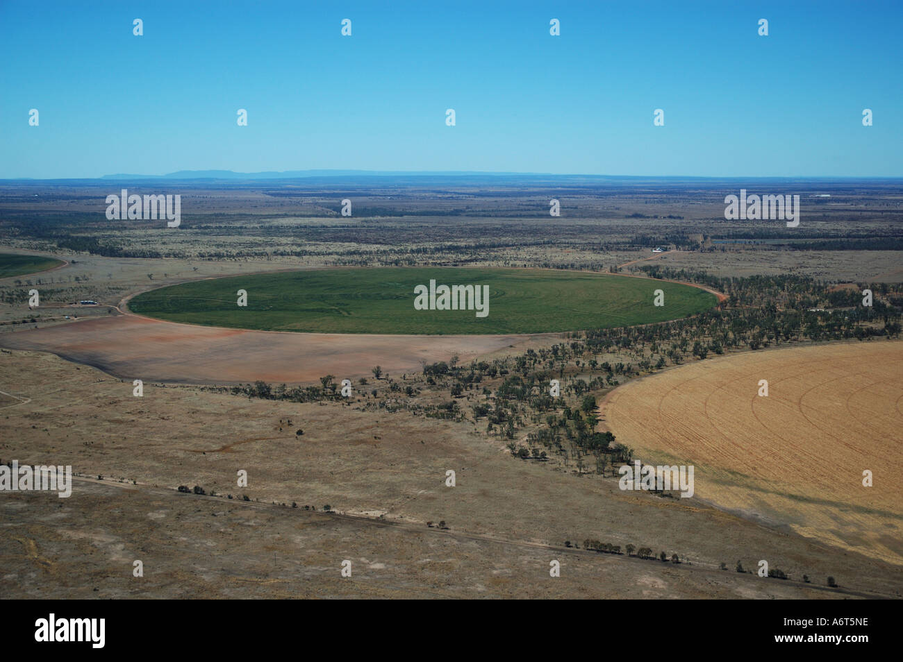 Les cercles de récolte du Queensland central du champ de blé irrigué Queensland Australie Banque D'Images