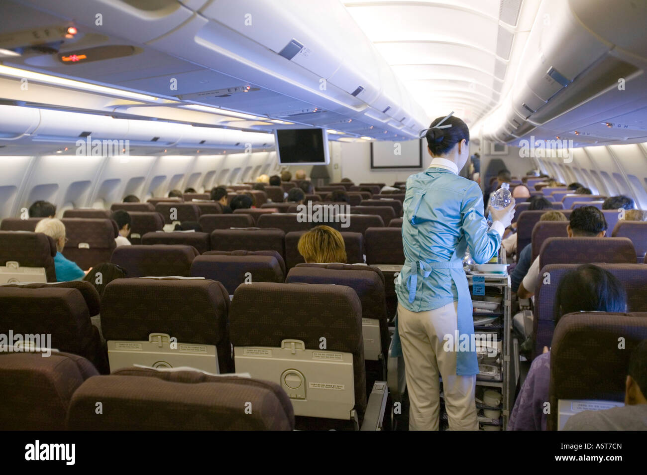 Hôtesse de l'air sur un vol Korean Air Banque D'Images