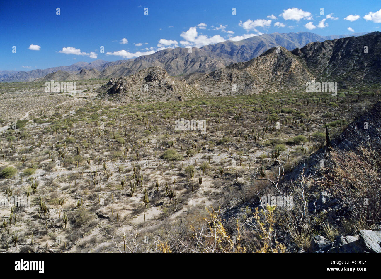 Voir l'ancienne ville en ruines de Quilmes en Argentine montrant les montagnes et paysage aride de cactus Banque D'Images