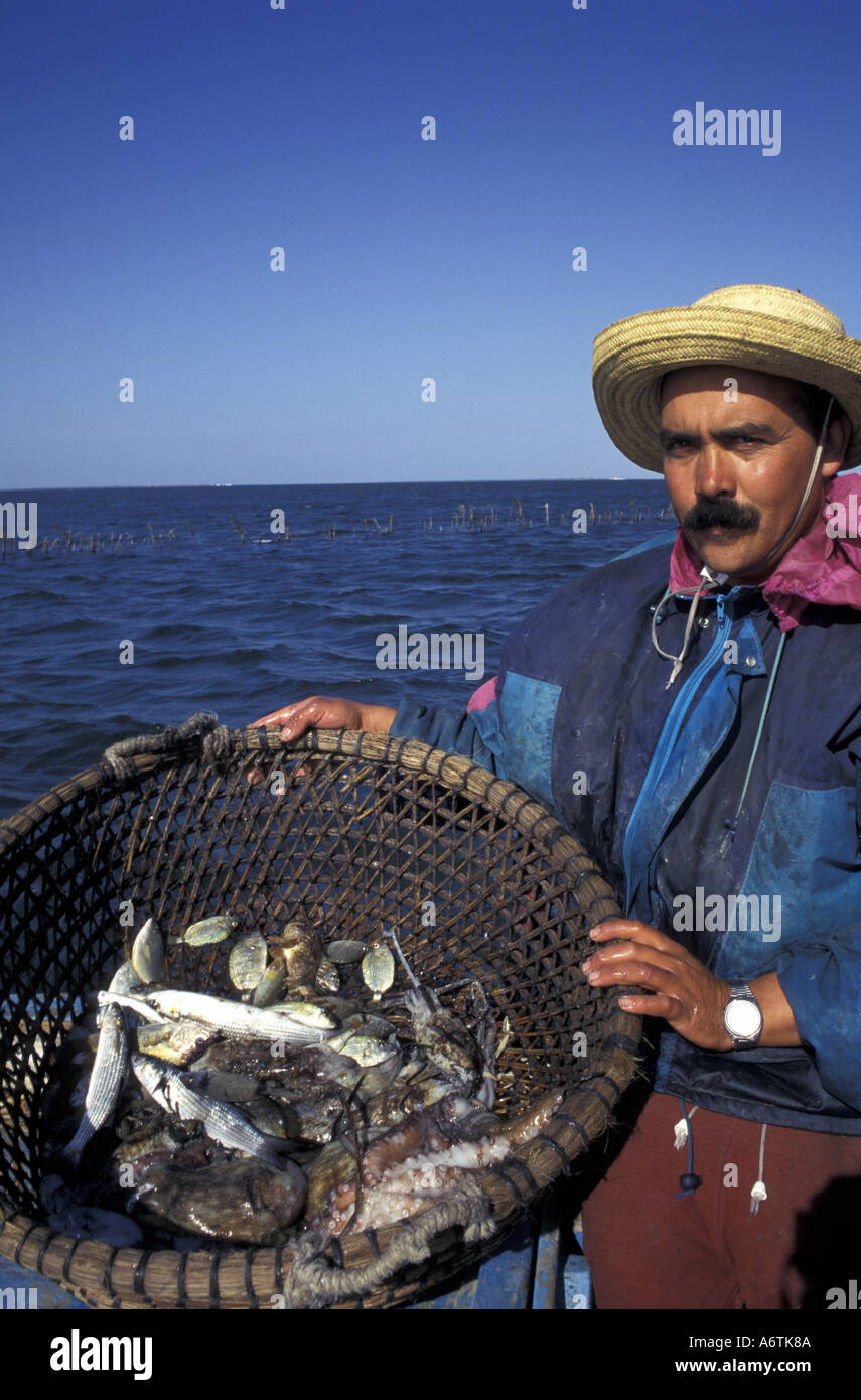 L'Afrique, la Tunisie, les îles Kerkennah. Le pêcheur montrant des récompenses pour une heure ; la pêche des poulpes et poissons. Banque D'Images