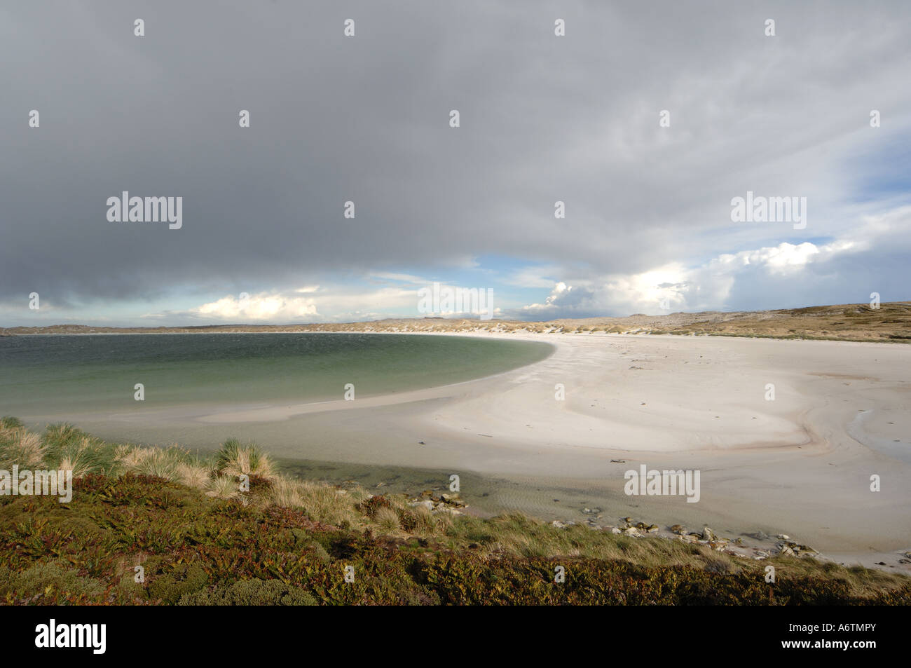 Vue sur Yorke baie au nord de Stanley, capitale de la Falkland Islands malheureusement fermé au public en raison des mines Banque D'Images