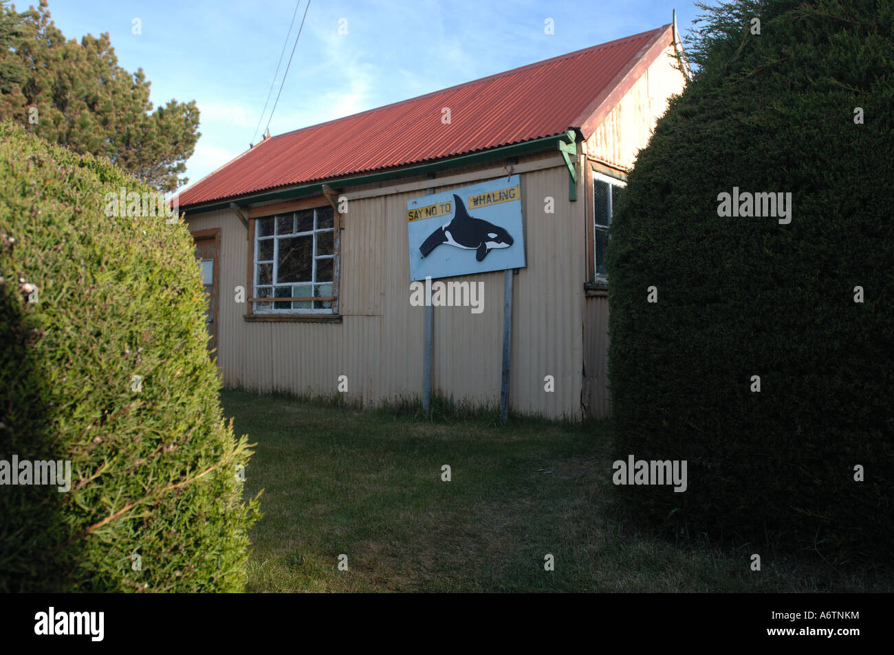 Maison traditionnelle à Stanley, Îles Falkland, soutenant une interdiction de la chasse à la baleine Banque D'Images