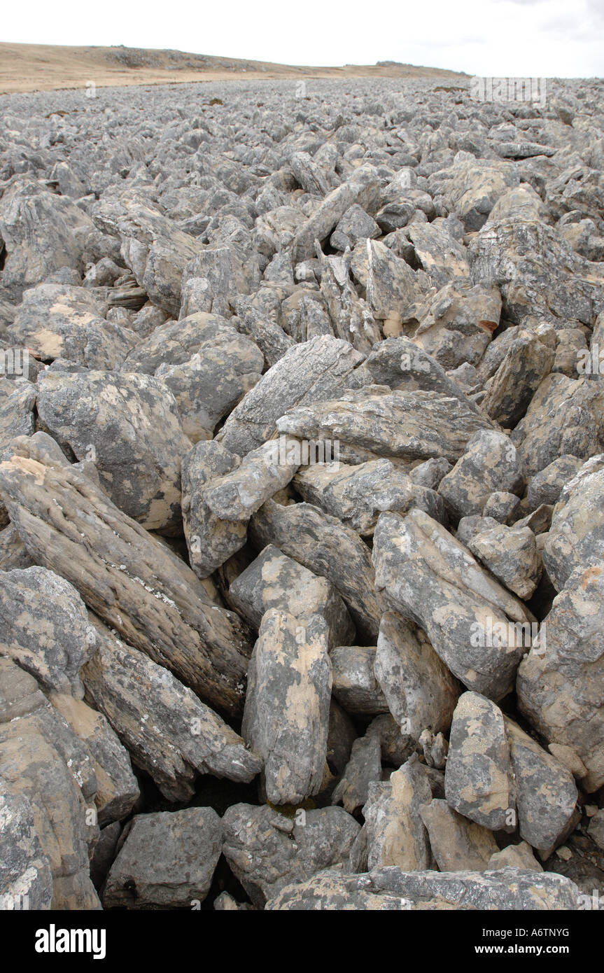 La pierre s'exécute de Wickham |Heights valley, Îles Falkland Banque D'Images