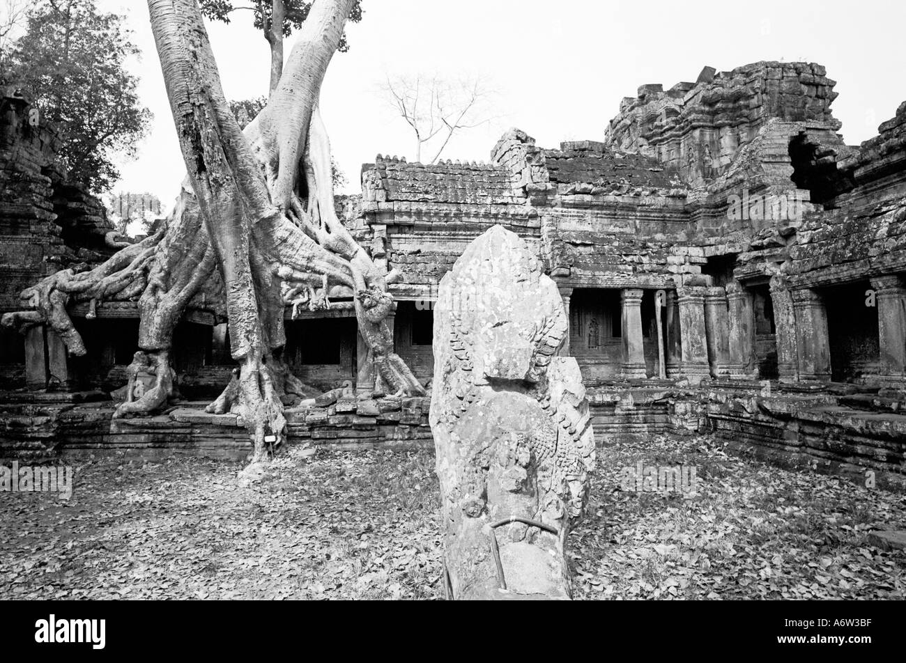 Preah Khan Temple Banque D'Images