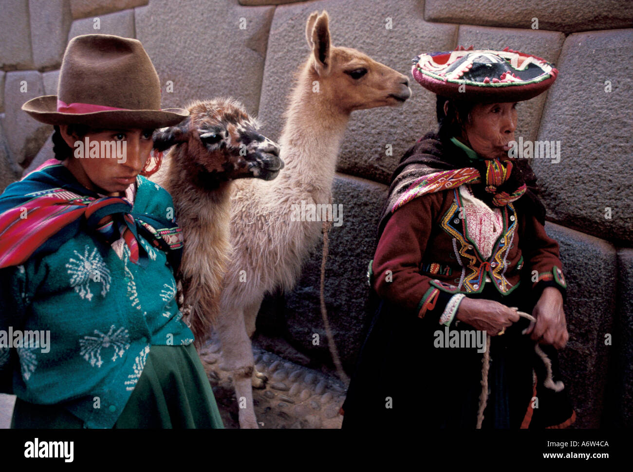 La femme péruvienne et son lhamas Cusco Pérou vêtements typiques Banque D'Images