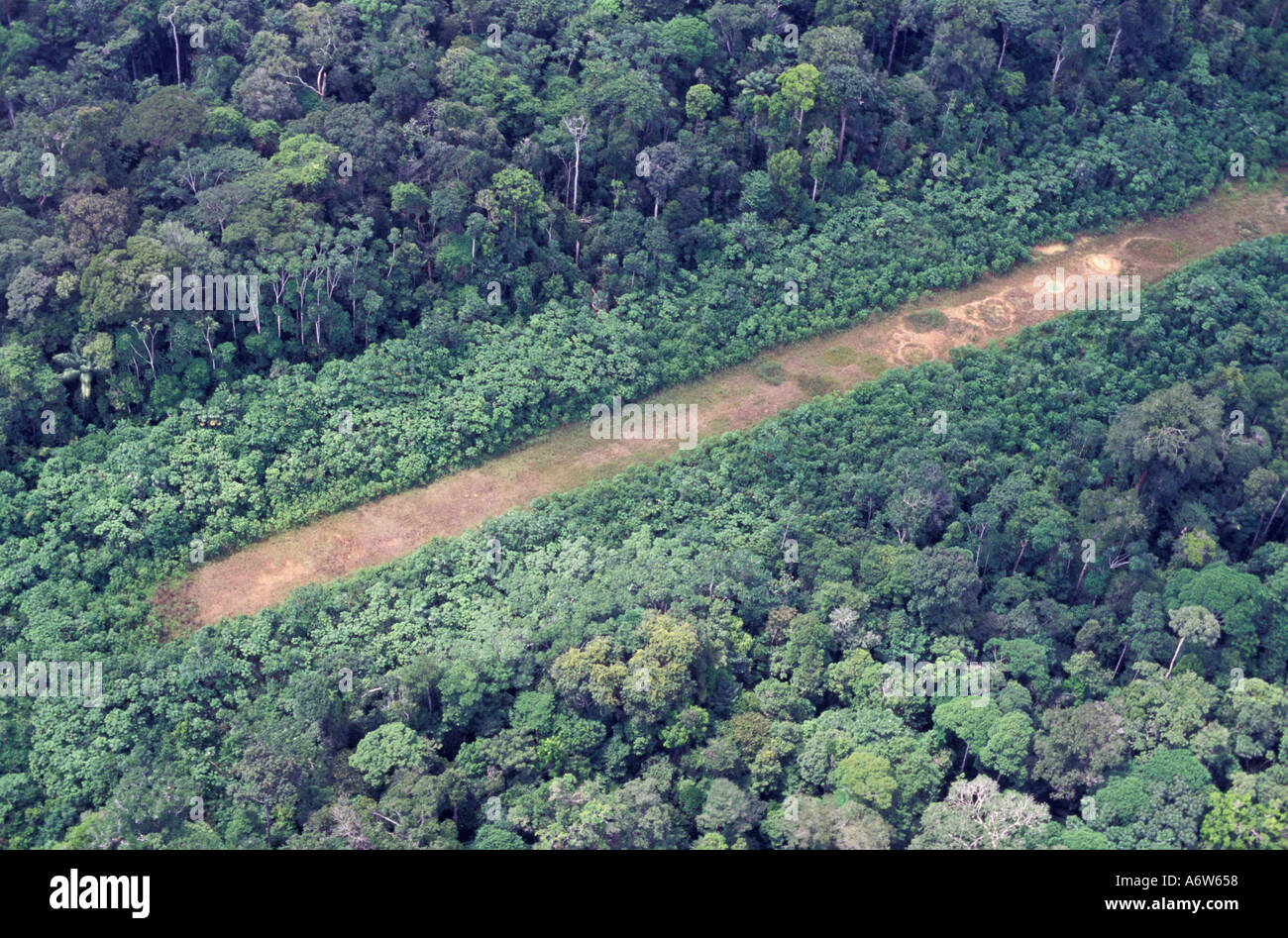 Forêt amazonienne au Brésil l'atterrissage dans la forêt utilisé par les chercheurs d'or et des traders Banque D'Images