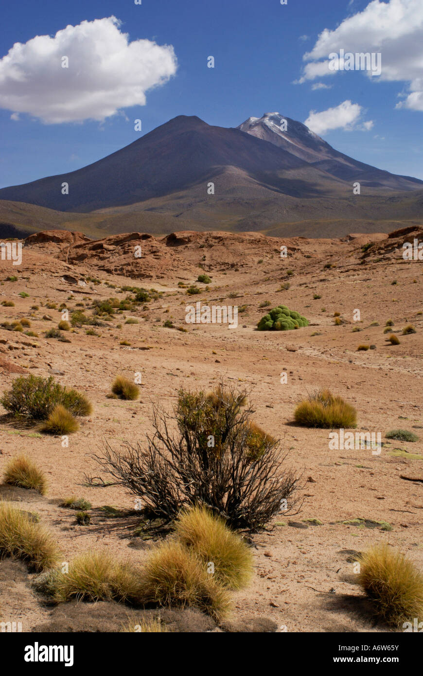 Paysage avec Vulcano dans l'Uyuni, Bolivie Highlands Banque D'Images