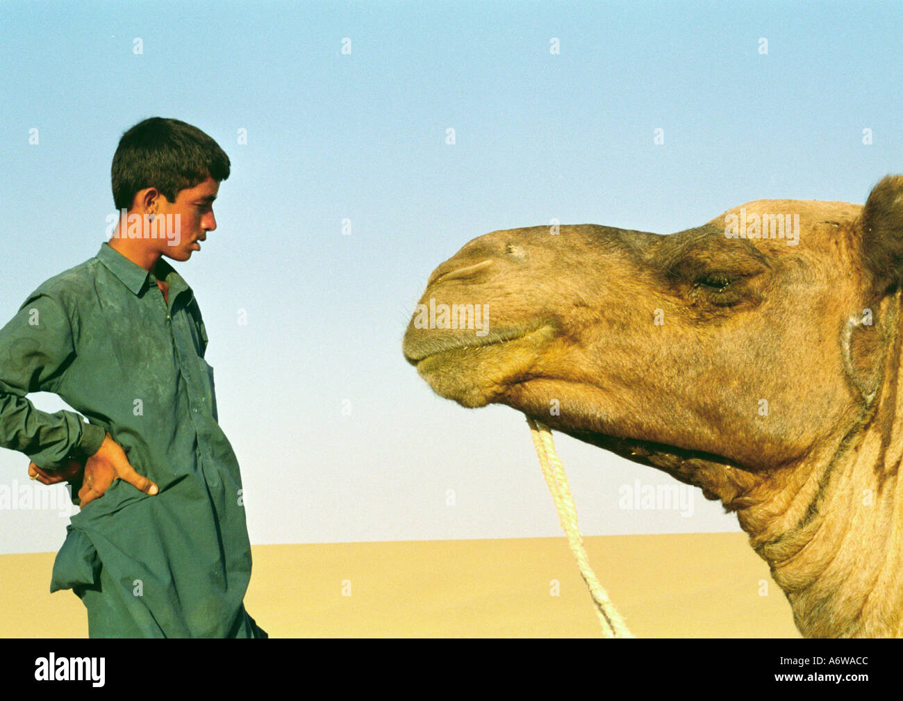 L'homme et le chameau désert du Thar Inde Rajasthan Jaisalmer Banque D'Images