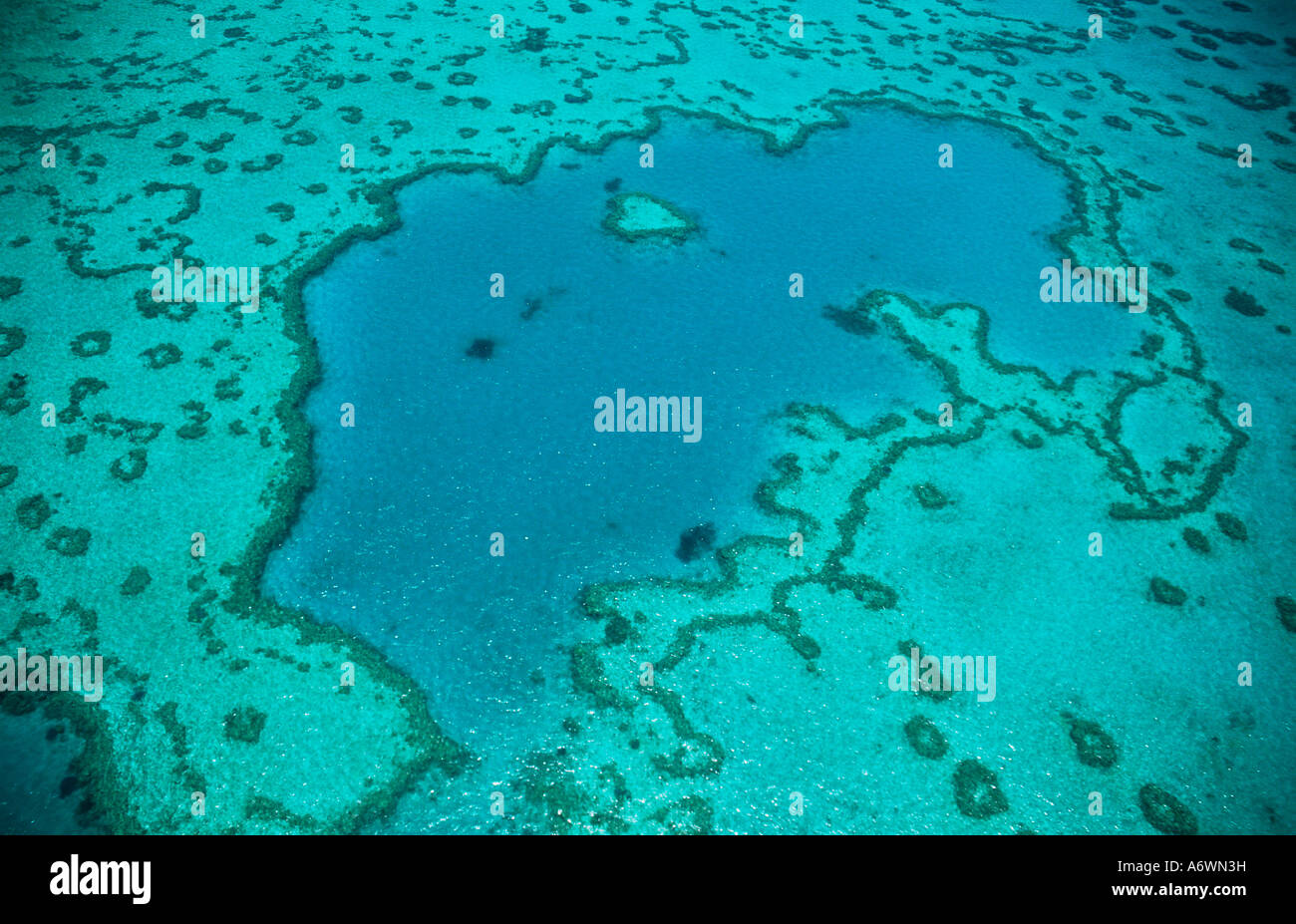 La Grande Barrière de corail, y compris l'insuffisance cardiaque, Whitsunday Islands, dans le Queensland en Australie. Visite en hélicoptère ou en hydravion. Planète Banque D'Images