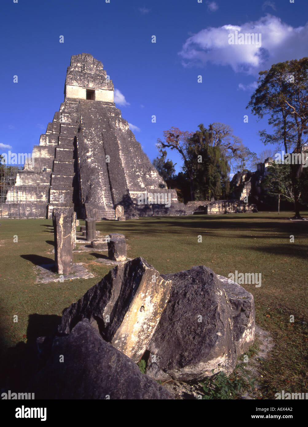 Tikal Guatemala Banque D'Images