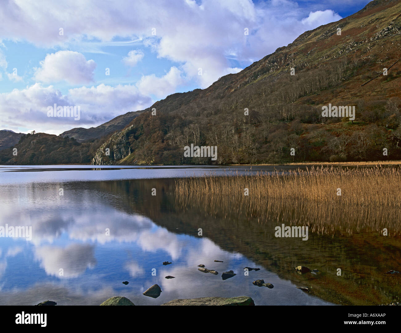 Le Nord du Pays de Galles UK DE BEDDGELERT GWYNEDD à décembre dans Llyn Gwynant dans la gamme Snowdonia avec reflets dans l'eau Banque D'Images