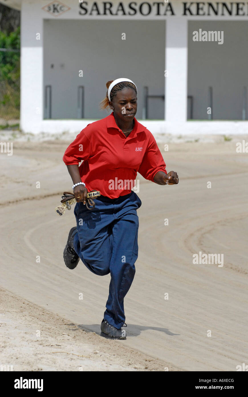 Le maîtrechien d'utiliser de nouveau à leur position à la course de