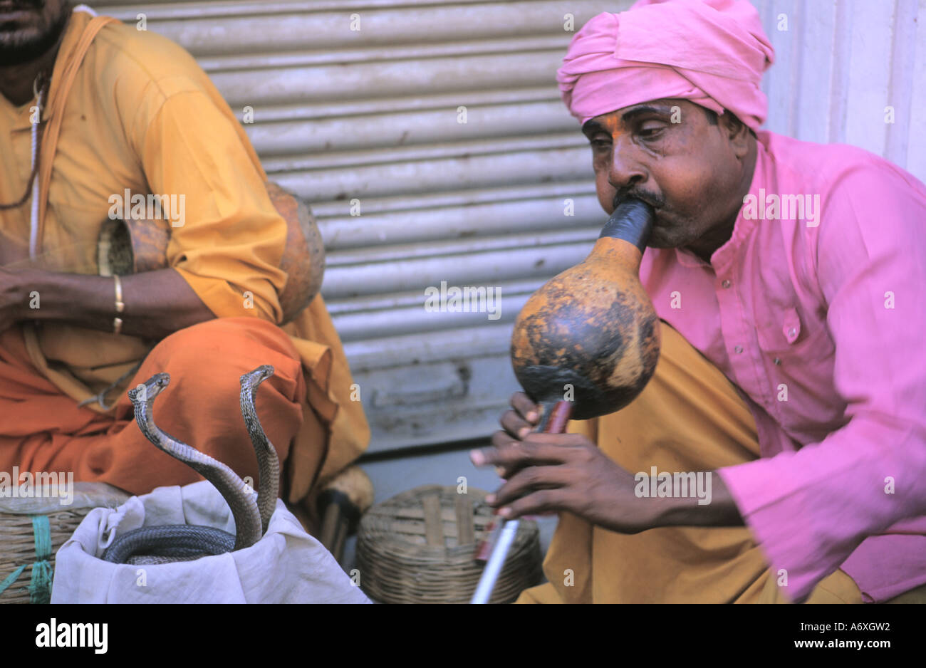 Les charmeurs de serpent de l'Inde avec snake crâneuse dans Thamel Katmandou Népal Banque D'Images