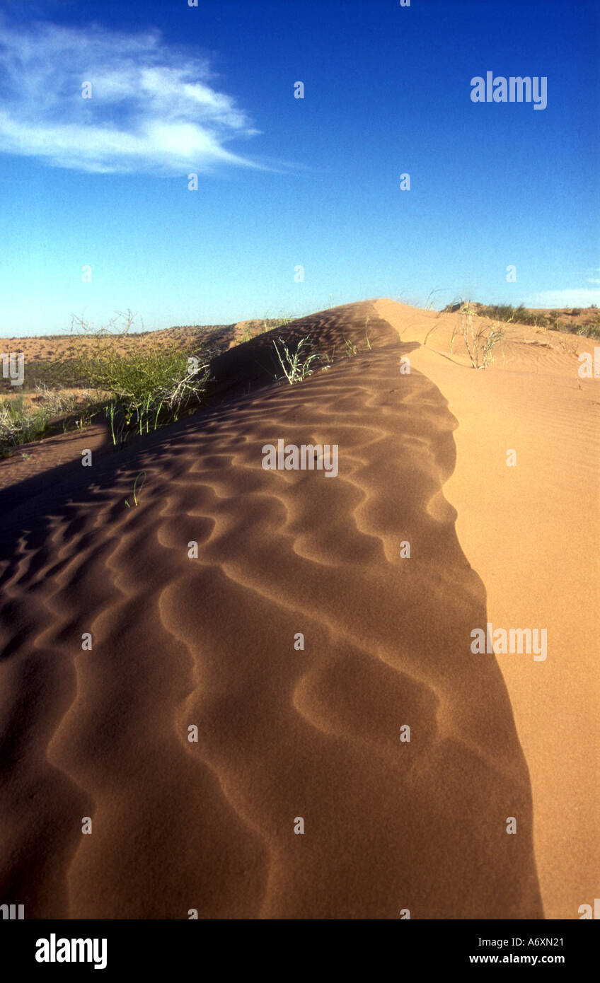 Dunes de sable dans l'ouest de l'Argentine San Juan Banque D'Images