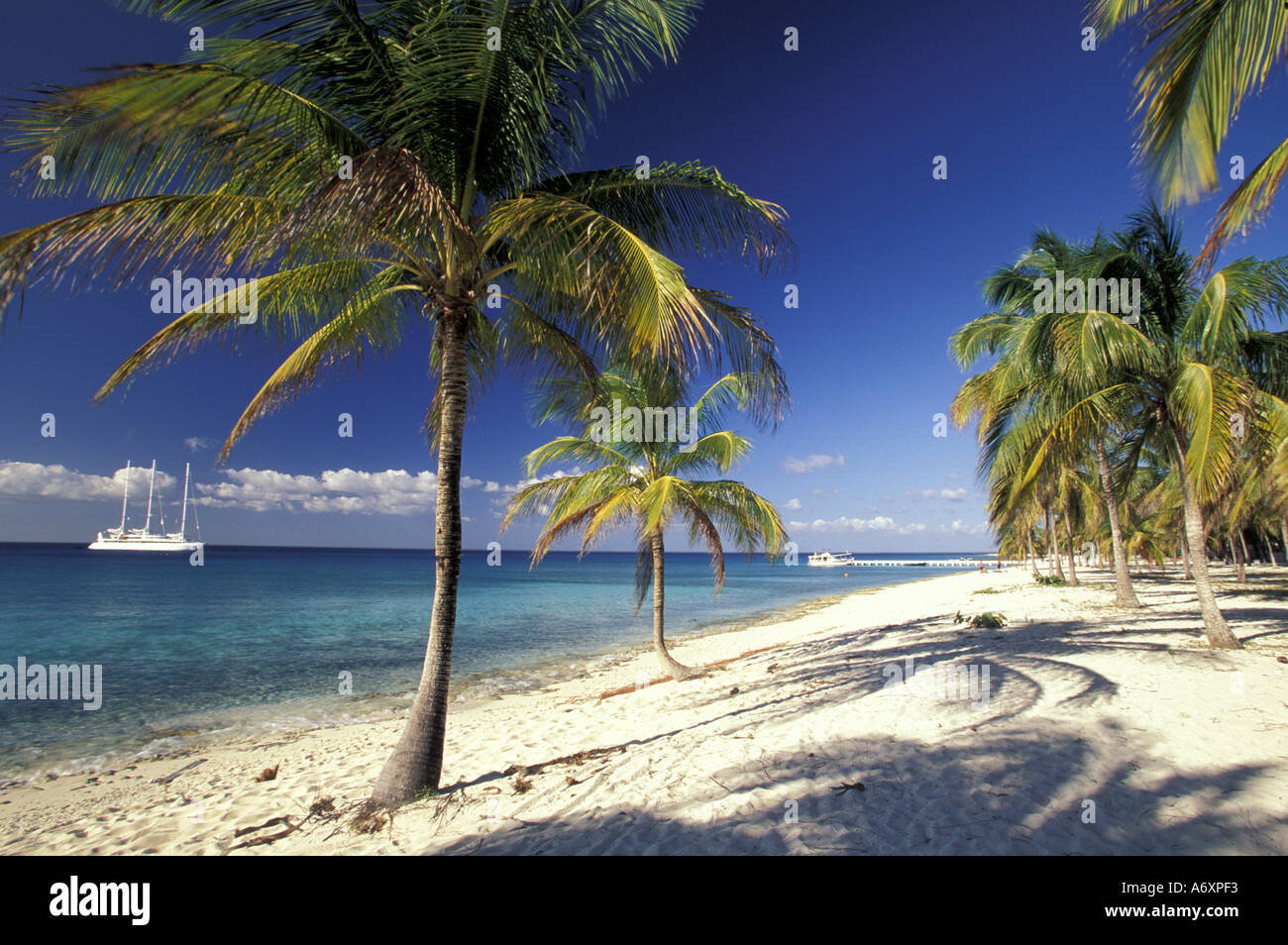 Cuba, Isla de la Juventud, plage tropicale Photo Stock - Alamy