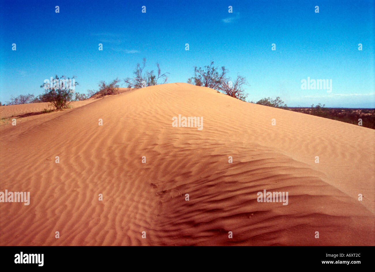 Dunes de sable dans l'ouest de l'Argentine San Juan Banque D'Images