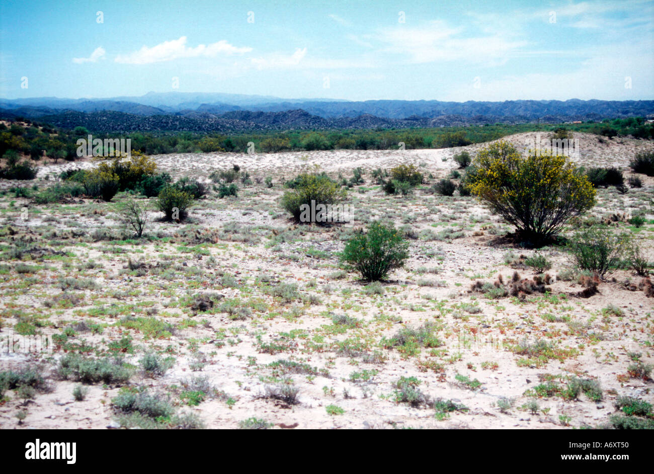Plateau salé dans l'ouest de l'Argentine Banque D'Images