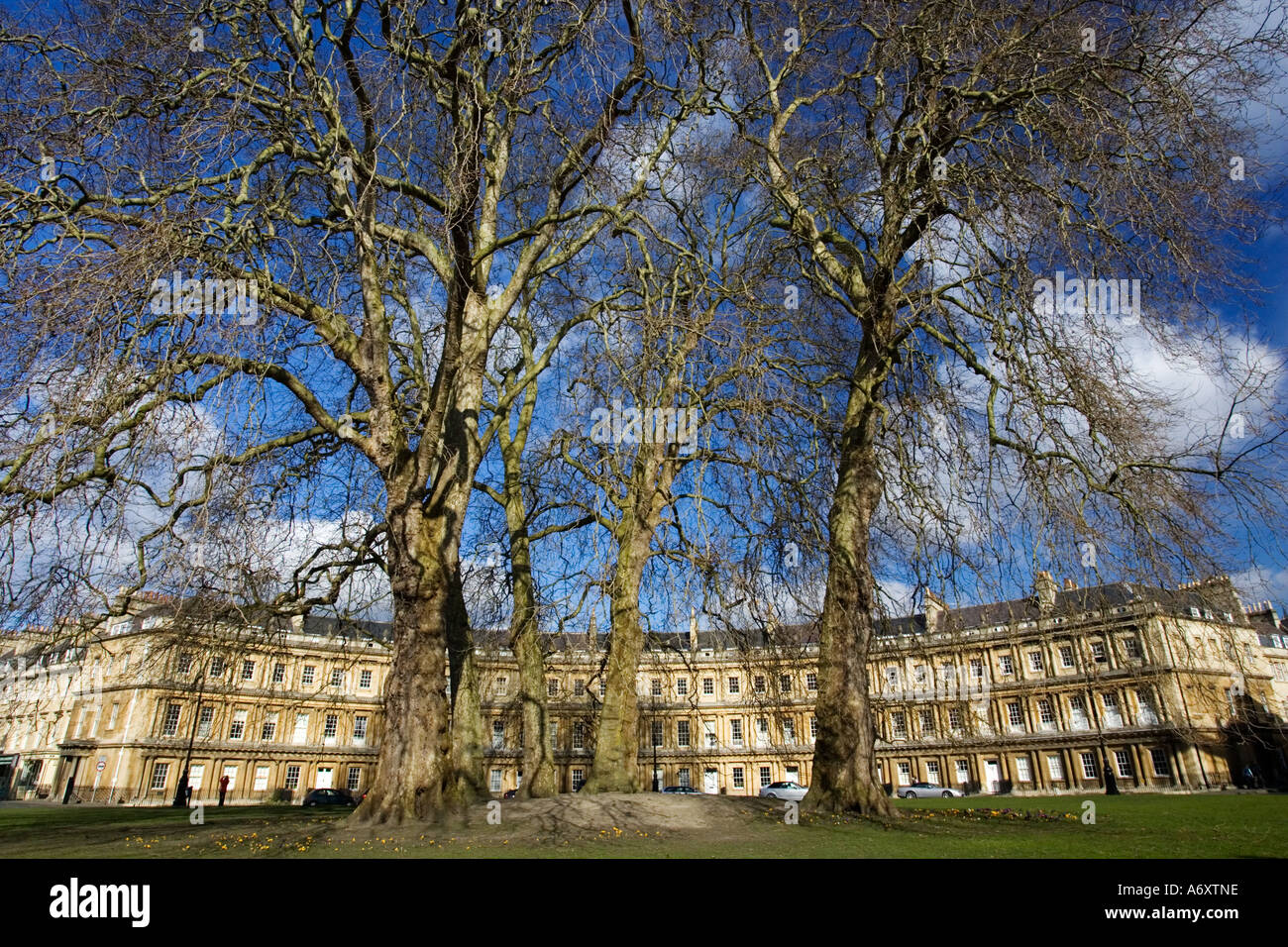 Le Cirque Royal maisons géorgiennes à Bath Avon Angleterre Banque D'Images