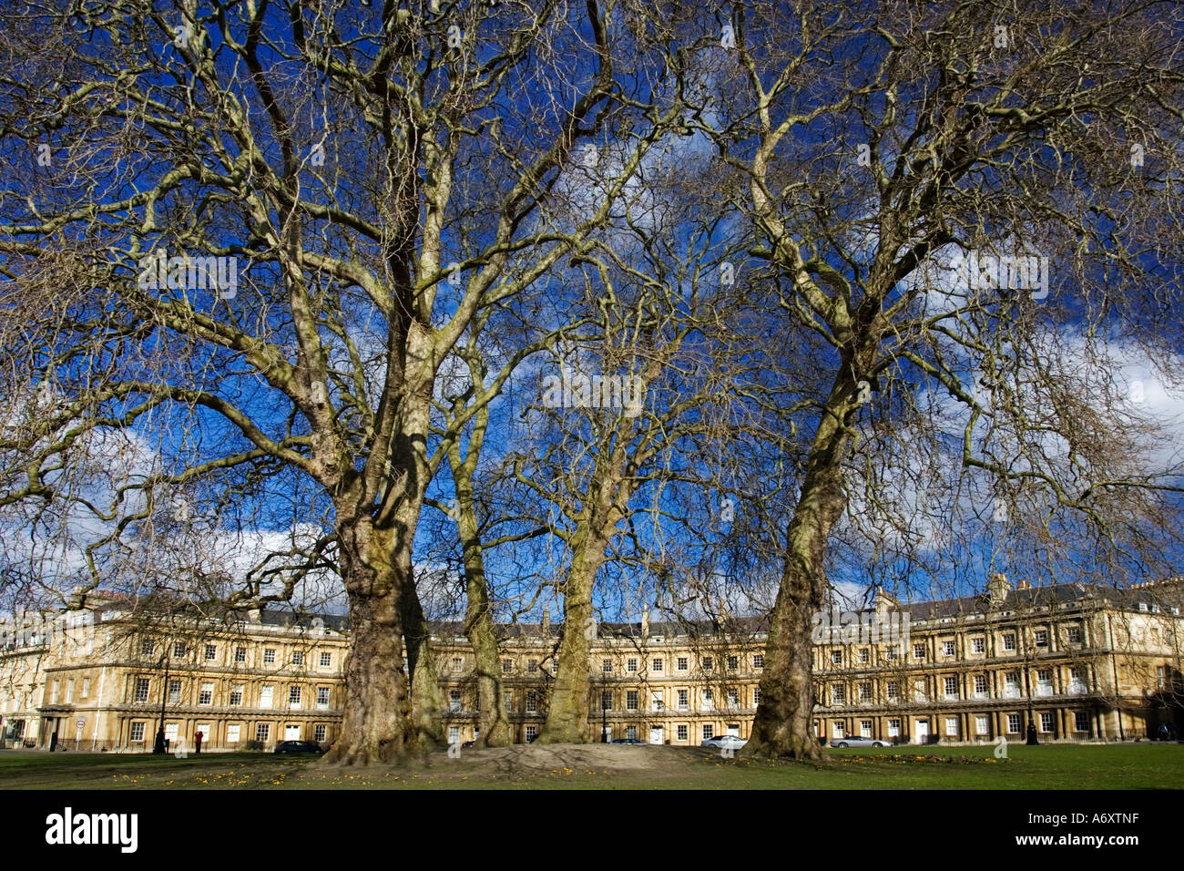 Le Cirque Royal maisons géorgiennes à Bath Avon Angleterre Banque D'Images