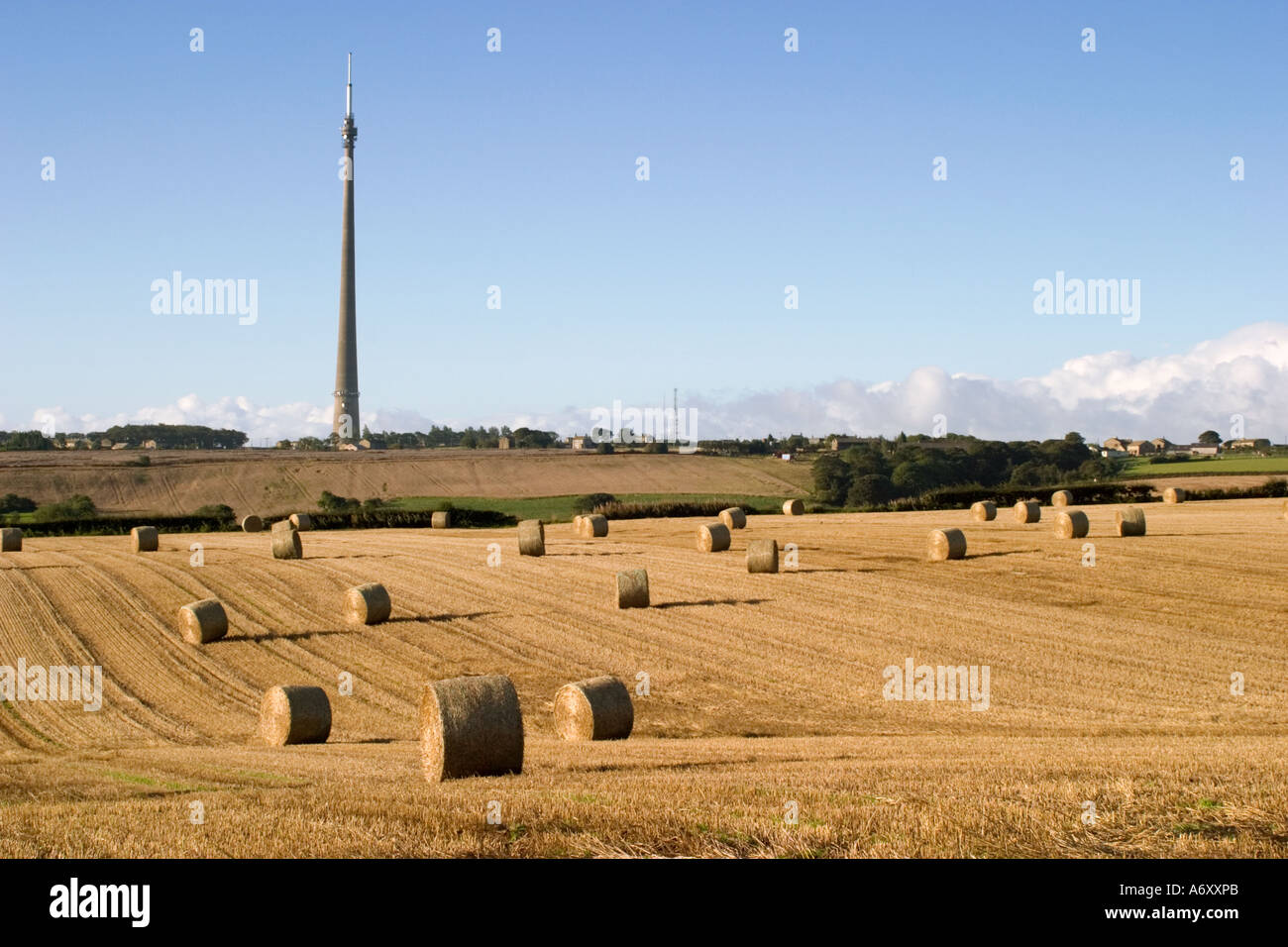 Voir d'Emley Moor mât de télévision à travers champs avec des balles de foin fin d'après-midi Banque D'Images