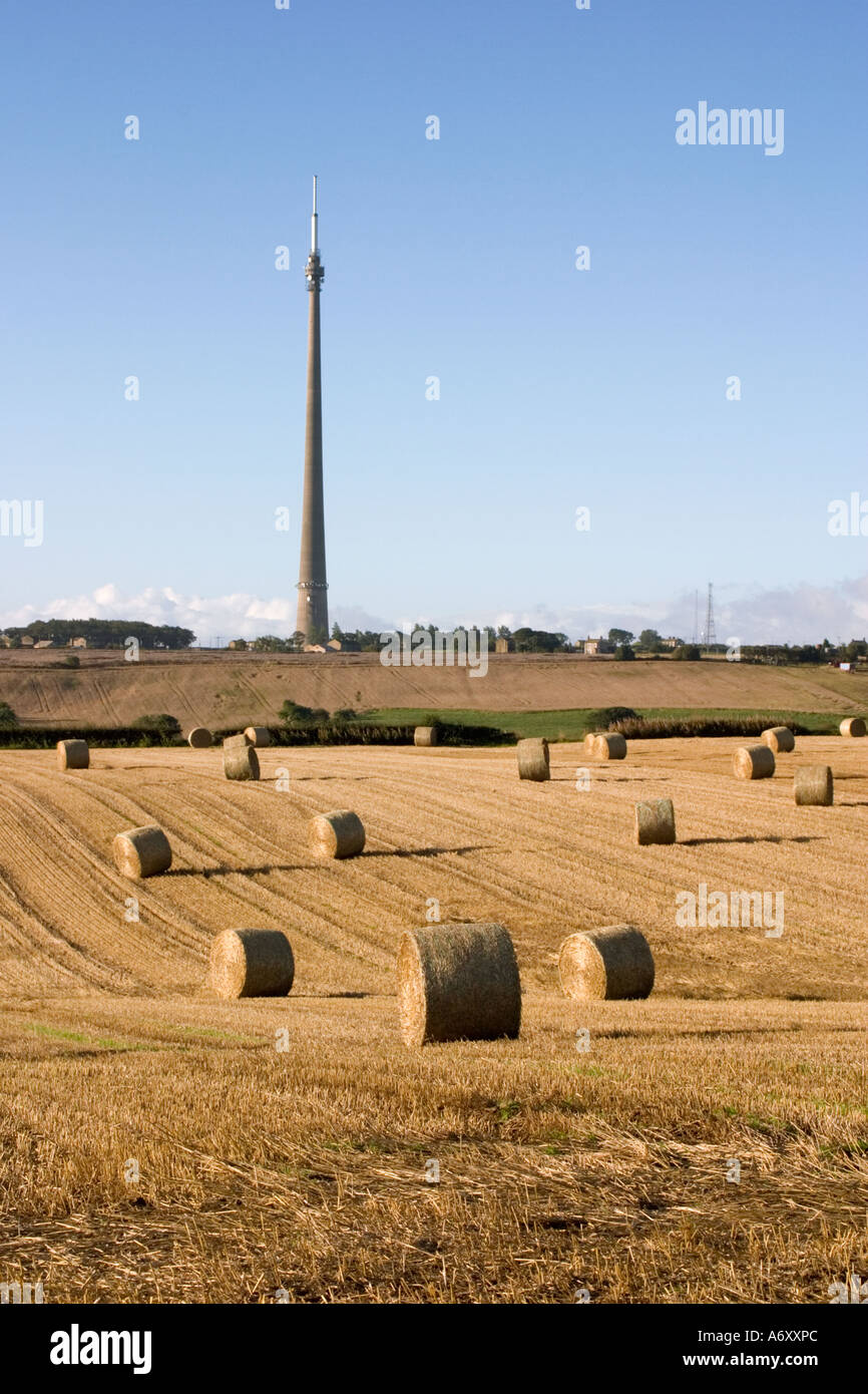 Voir d'Emley Moor mât de télévision à travers champs avec des balles de foin fin d'après-midi Banque D'Images