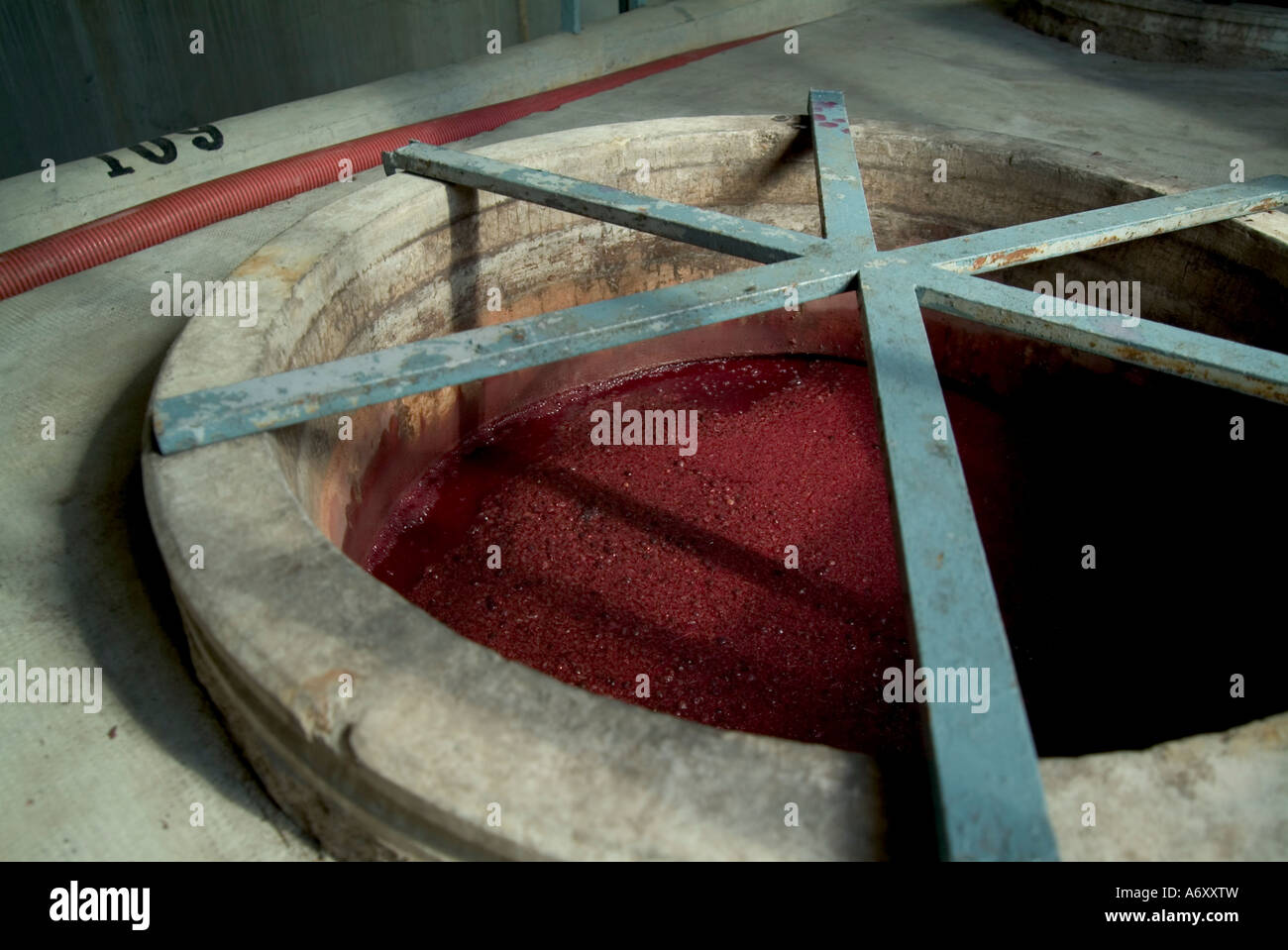 Jus de raisin fermenté Banque de photographies et d’images à haute résolution Alamy