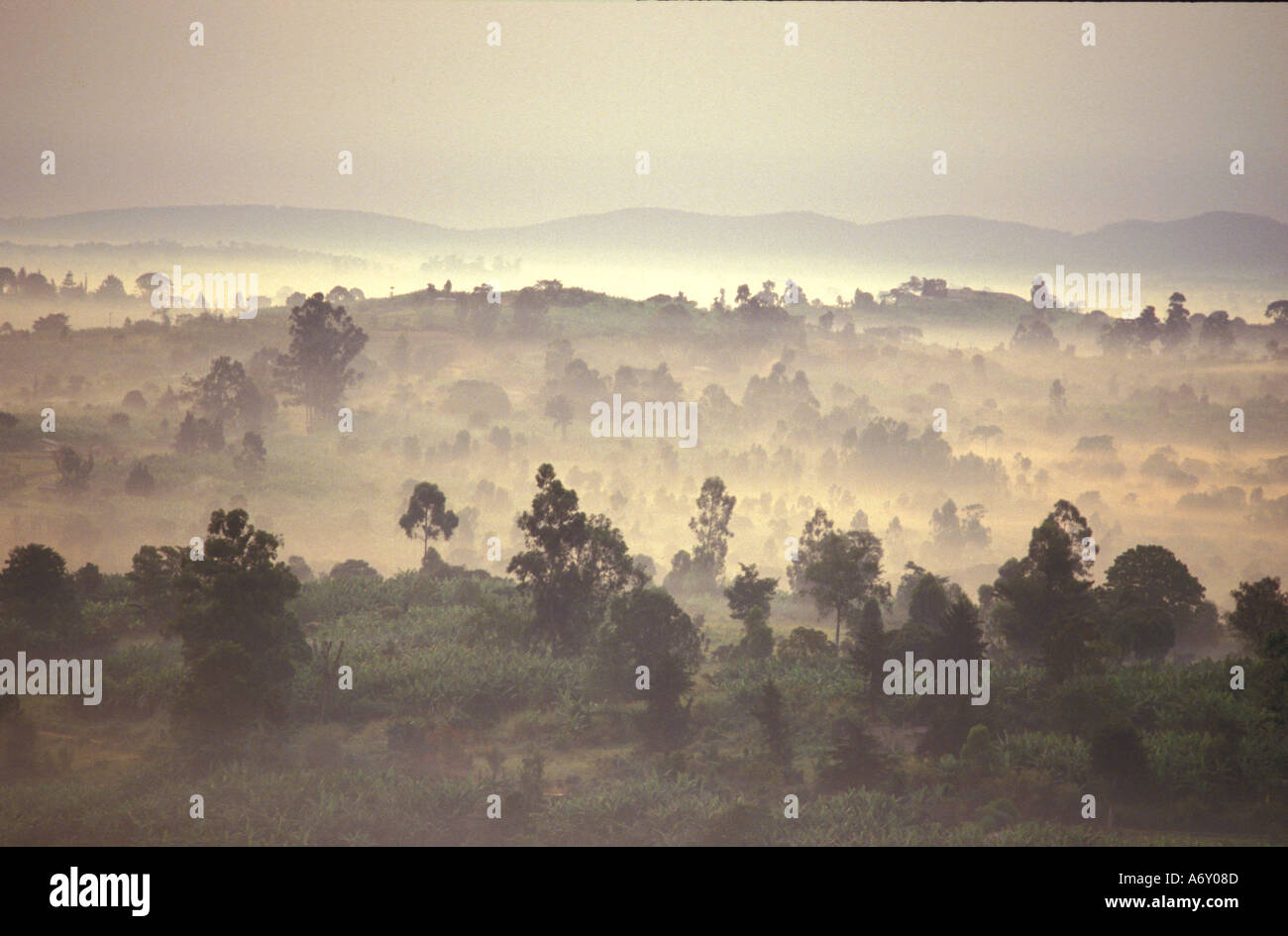 Vista de paysages spectaculaires de montagnes éloignées de l'eerie golden mist rising sur Toro game park à l'aube en Ouganda Banque D'Images