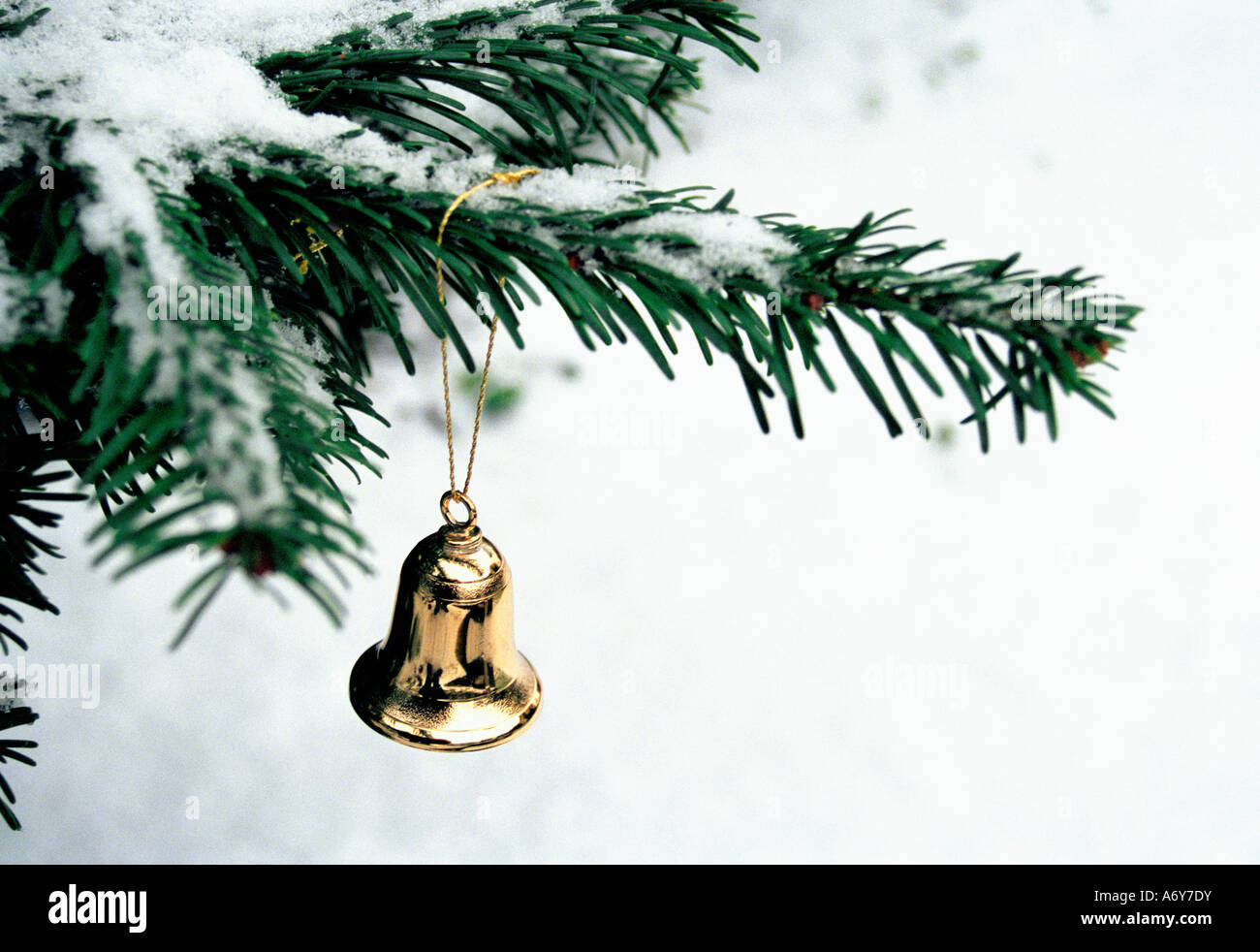 Bell'or couvert de la direction générale de l'arbre de Noël Banque D'Images