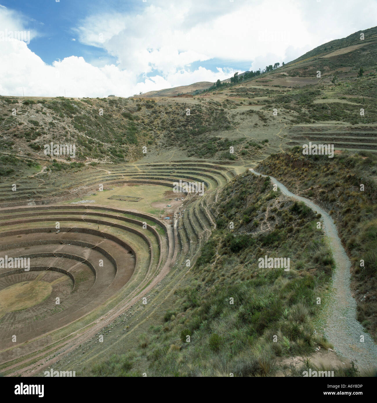 Les champs en terrasses Inca Banque D'Images