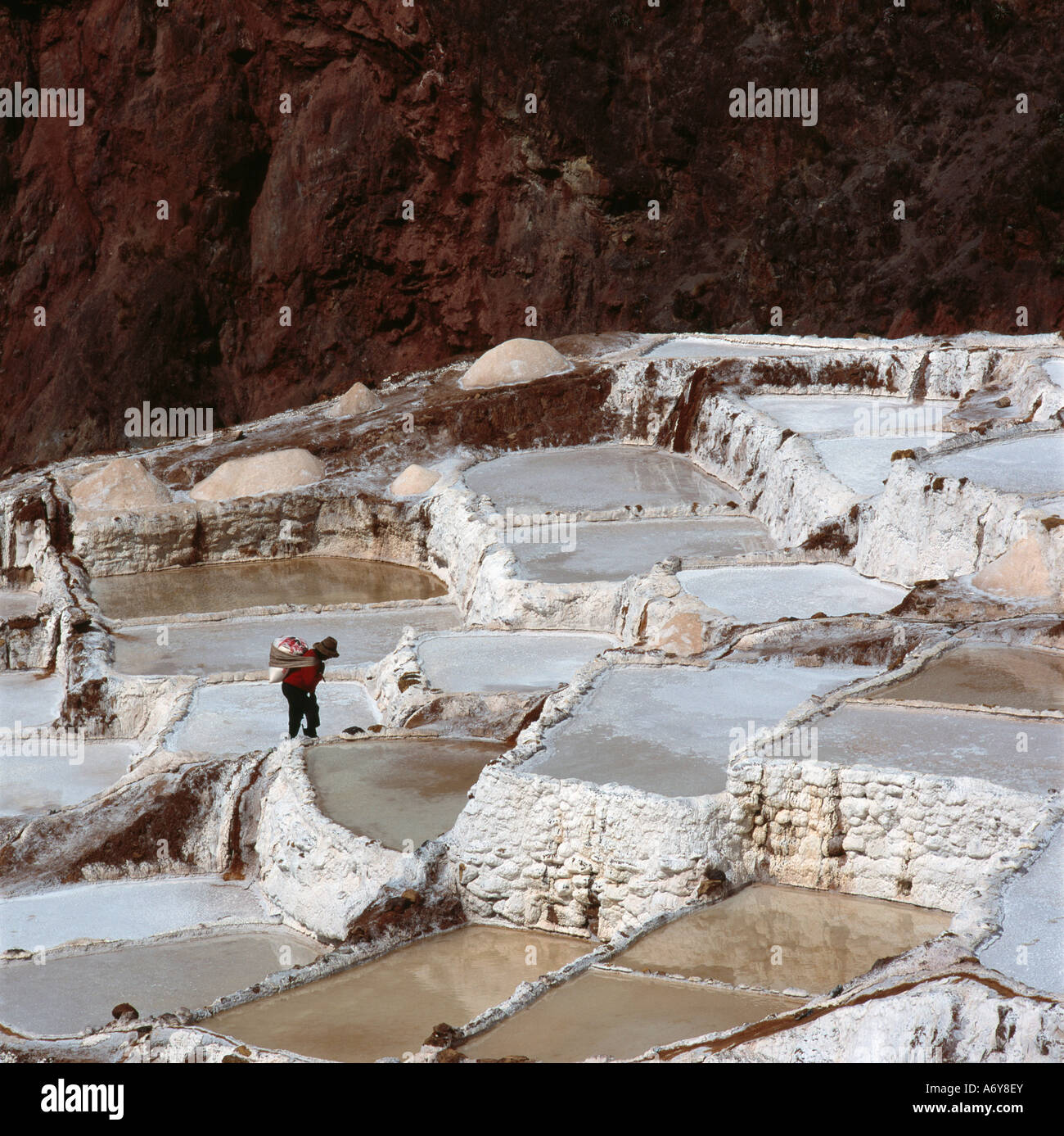 Personne debout sur les étangs d'eau salée en terrasses à flanc de l'Inca Banque D'Images