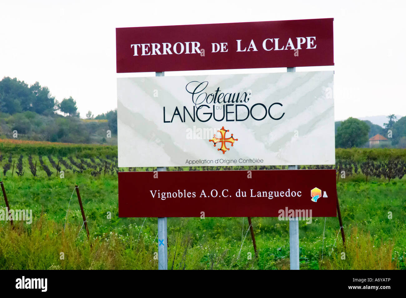 Terroir de la Clape AOC Coteaux du Languedoc. La Clape. Languedoc. La France. L'Europe. Banque D'Images