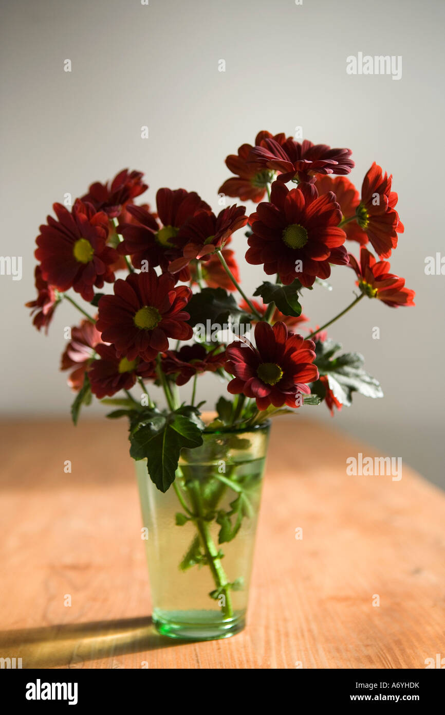 Chrysanthèmes dans un vase Banque D'Images