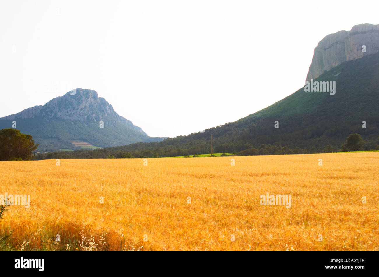 Le Pic St Loup Montagne Crête Le Massif De Montagne D