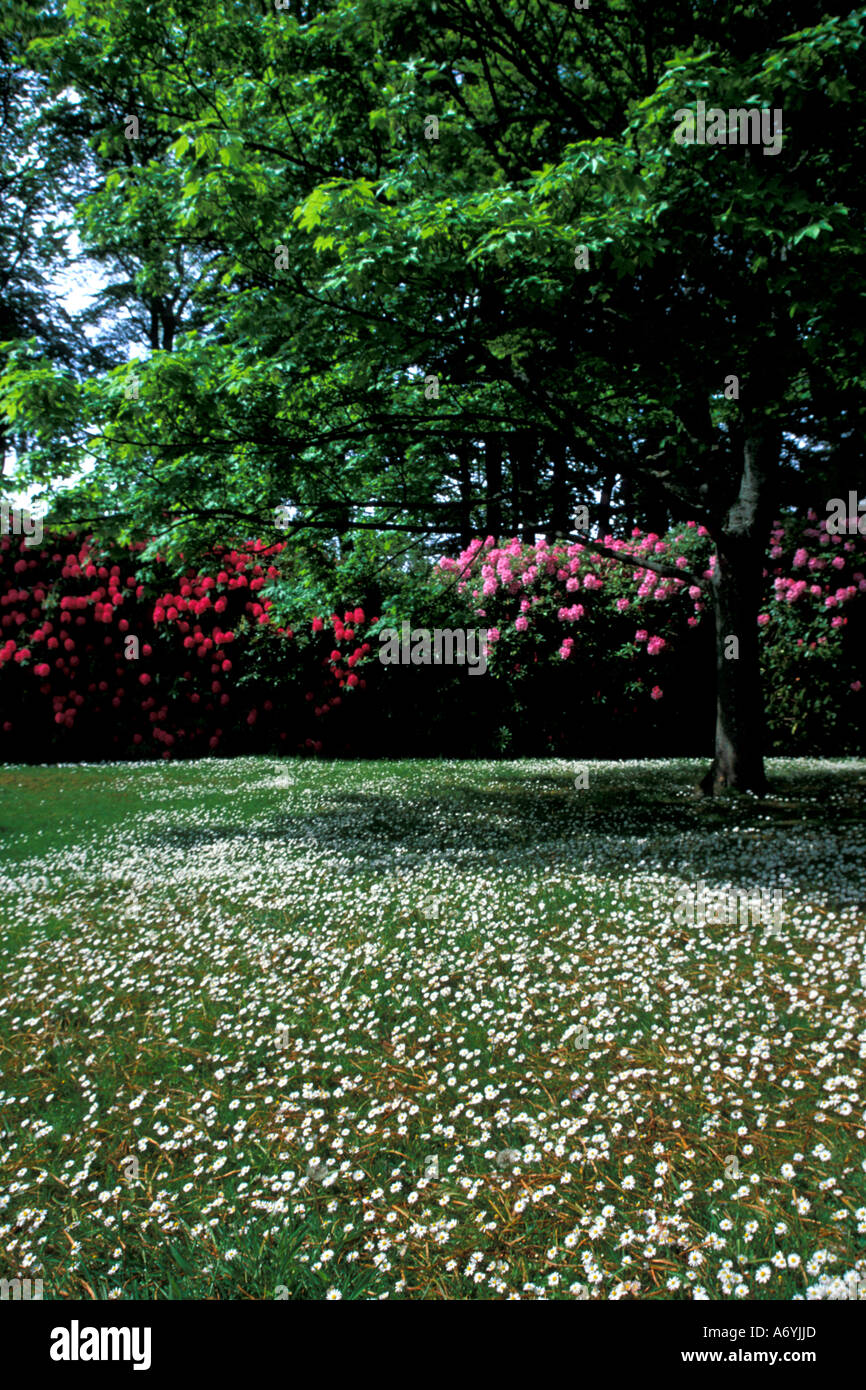Portrait format image d'un parc du centre-ville d'été en fleurs avec des verts, des rouges et des roses. Banque D'Images