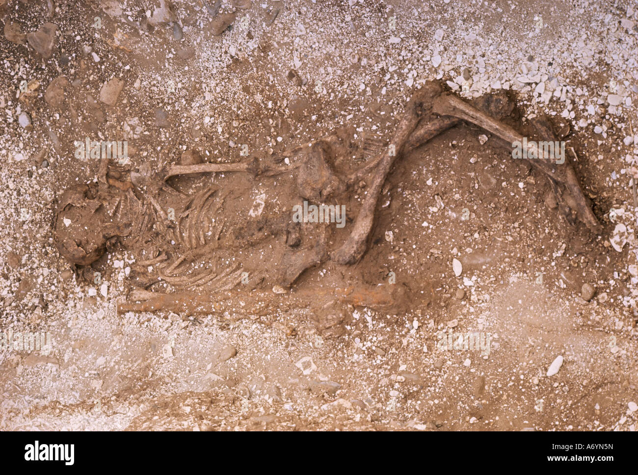 Il reste d'une femme de l'âge du fer excavé en 1976 près de Rudston East Yorkshire Yorkshire Angleterre Royaume Uni Europe Banque D'Images
